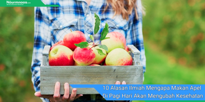 10 Alasan Ilmiah Mengapa Makan Apel Di Pagi Hari Akan Mengubah Kesehatan Anda