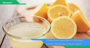 10 Manfaat Ajaib Minum Perasan Lemon Setiap Hari Untuk Tubuh Dan Kulit Sehat