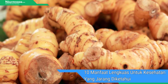 10 Manfaat Lengkuas Untuk Kesehatan Yang Jarang Diketahui