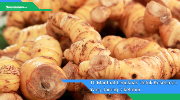 10 Manfaat Lengkuas Untuk Kesehatan Yang Jarang Diketahui