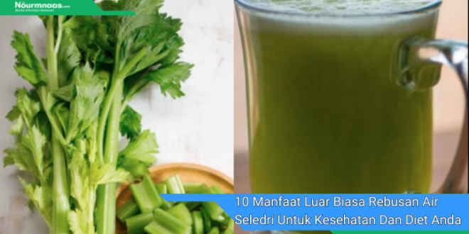 10 Manfaat Luar Biasa Rebusan Air Seledri Untuk Kesehatan Dan Diet Anda 1