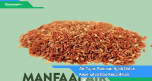 Air Tajin Ramuan Ajaib Untuk Kesehatan Dan Kecantikan