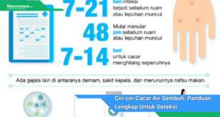 Ciri ciri Cacar Air Sembuh Panduan Lengkap Untuk Deteksi Dan Pencegahan