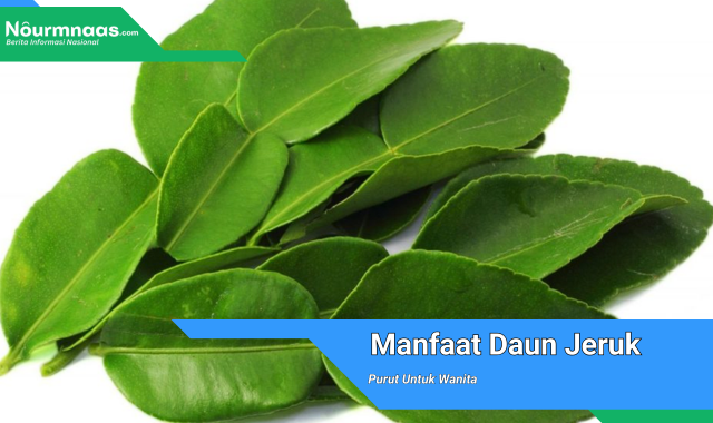 Manfaat Daun Jeruk