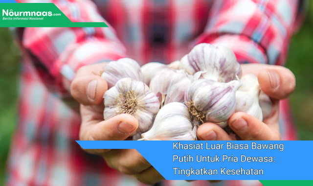 Khasiat Luar Biasa Bawang Putih Untuk Pria Dewasa: Tingkatkan Kesehatan Dan Kebugaran