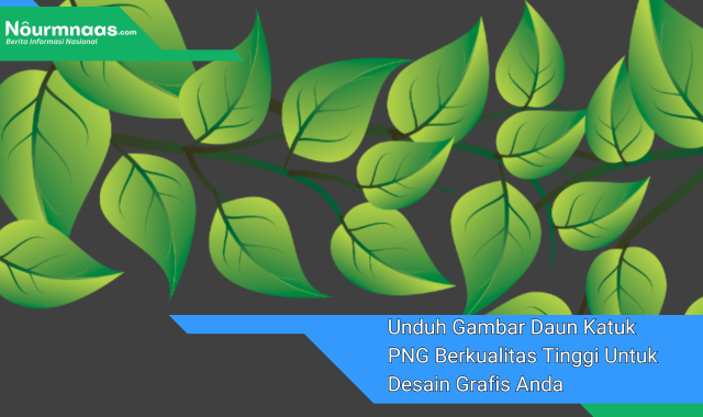 Unduh Gambar Daun Katuk PNG Berkualitas Tinggi Untuk Desain Grafis Anda