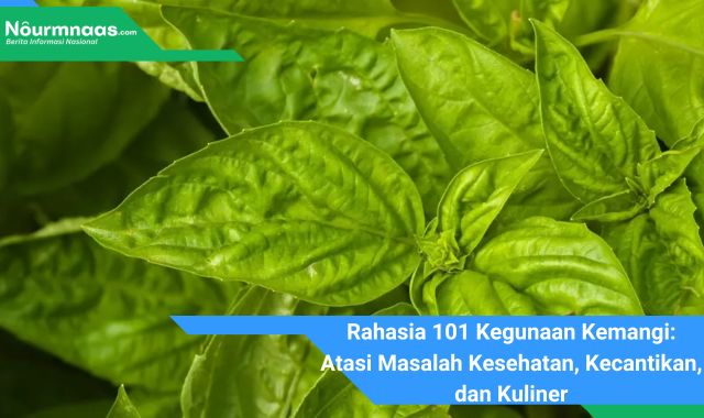 Rahasia 101 Kegunaan Kemangi: Atasi Masalah Kesehatan, Kecantikan, dan Kuliner