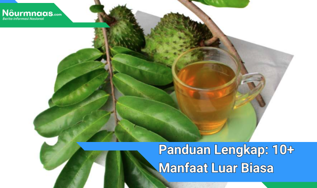 Panduan Lengkap: 10+ Manfaat Luar Biasa Godokan Daun Sirsak Untuk Kesehatan