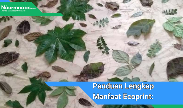 Panduan Lengkap Manfaat Ecoprint: Transformasi Alami Yang Ramah Lingkungan