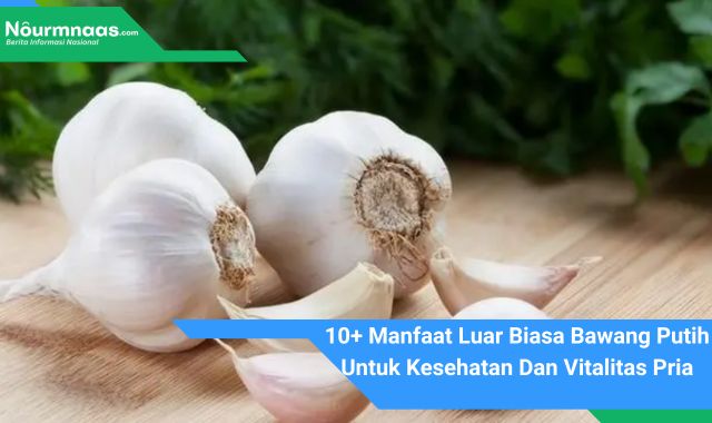 10+ Manfaat Luar Biasa Bawang Putih Untuk Kesehatan Dan Vitalitas Pria