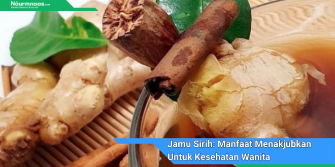 Jamu Sirih Manfaat Menakjubkan Untuk Kesehatan Wanita