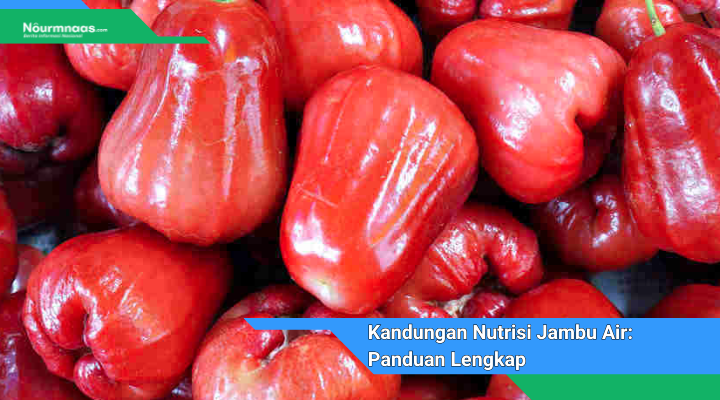 Kandungan Nutrisi Jambu Air Panduan Lengkap Untuk Manfaat Kesehatannya