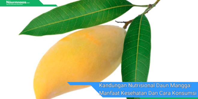 Kandungan Nutrisional Daun Mangga Manfaat Kesehatan Dan Cara Konsumsi