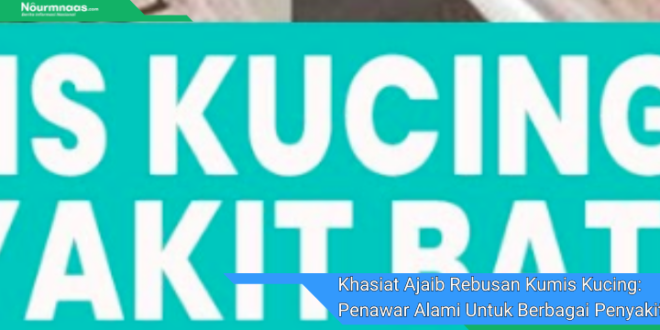 Khasiat Ajaib Rebusan Kumis Kucing Penawar Alami Untuk Berbagai Penyakit