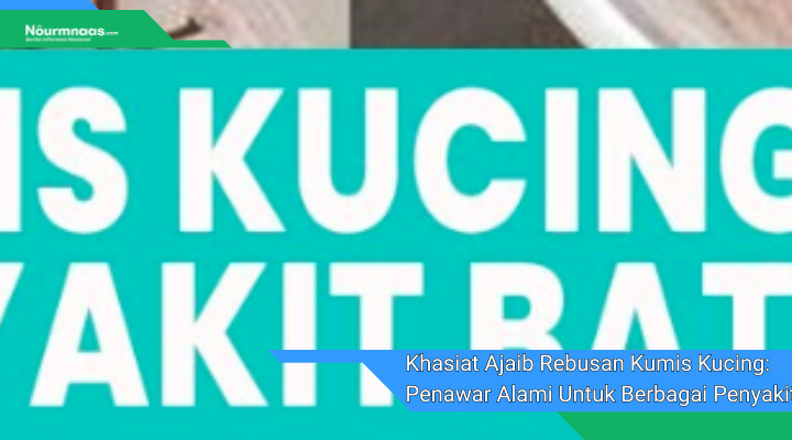 Khasiat Ajaib Rebusan Kumis Kucing Penawar Alami Untuk Berbagai Penyakit