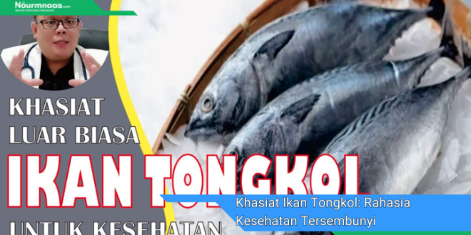 Khasiat Ikan Tongkol Rahasia Kesehatan Tersembunyi Dalam Kekayaan Laut