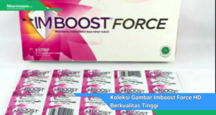 Koleksi Gambar Imboost Force HD Berkualitas Tinggi Untuk Segala Kebutuhan Anda