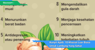 Kunyit Ajaib 10 Khasiat Luar Biasa Untuk Lambung Yang Sehat Dan Nyaman