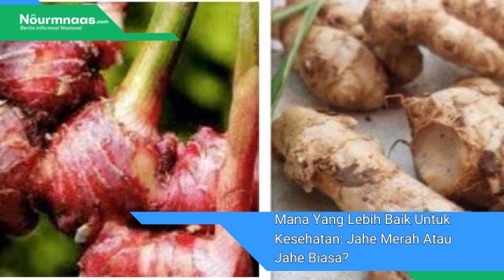 Mana Yang Lebih Baik Untuk Kesehatan: Jahe Merah Atau Jahe Biasa?