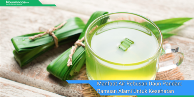 Manfaat Air Rebusan Daun Pandan Ramuan Alami Untuk Kesehatan Dan Kecantikan