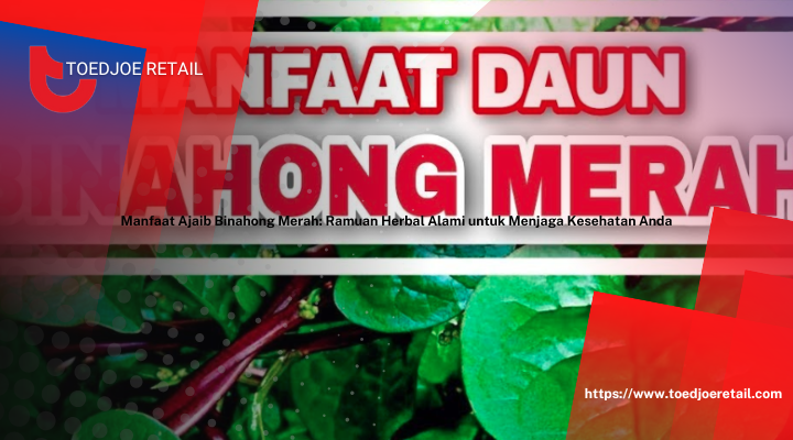 Manfaat Ajaib Binahong Merah: Ramuan Herbal Alami untuk Menjaga Kesehatan Anda