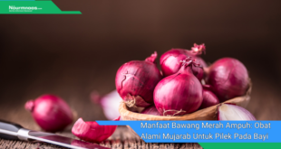 Manfaat Bawang Merah Ampuh Obat Alami Mujarab Untuk Pilek Pada Bayi