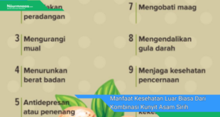 Manfaat Kesehatan Luar Biasa Dari Kombinasi Kunyit Asam Sirih Dan Manjakani