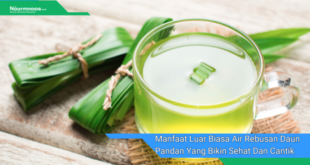 Manfaat Luar Biasa Air Rebusan Daun Pandan Yang Bikin Sehat Dan Cantik