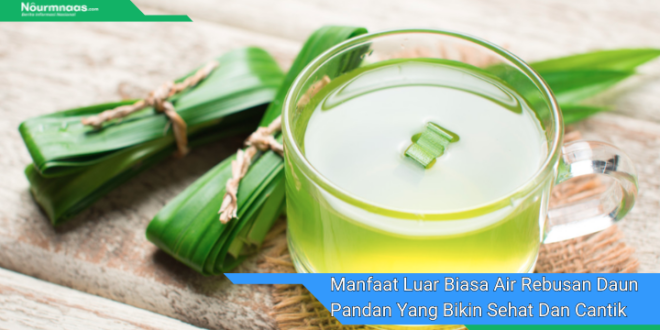 Manfaat Luar Biasa Air Rebusan Daun Pandan Yang Bikin Sehat Dan Cantik