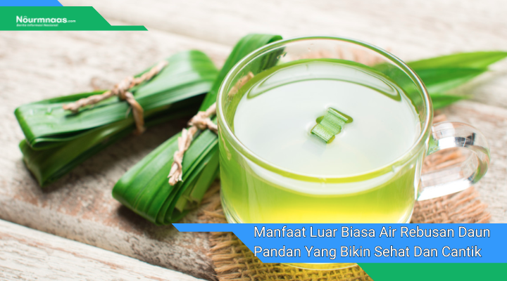 Manfaat Luar Biasa Air Rebusan Daun Pandan Yang Bikin Sehat Dan Cantik