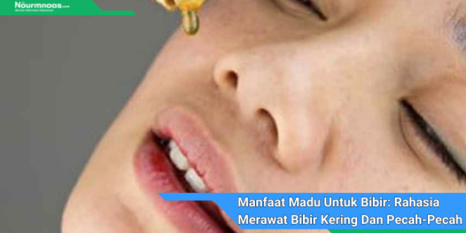 Manfaat Madu Untuk Bibir Rahasia Merawat Bibir Kering Dan Pecah Pecah