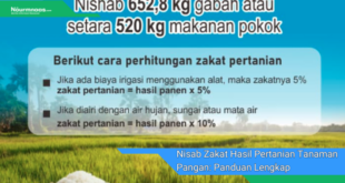 Nisab Zakat Hasil Pertanian Tanaman Pangan Panduan Lengkap