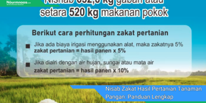 Nisab Zakat Hasil Pertanian Tanaman Pangan Panduan Lengkap