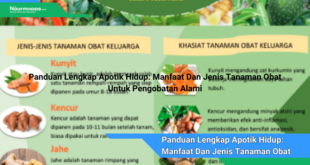 Panduan Lengkap Apotik Hidup Manfaat Dan Jenis Tanaman Obat Untuk Pengobatan Alami