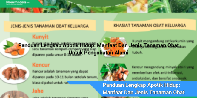 Panduan Lengkap Apotik Hidup Manfaat Dan Jenis Tanaman Obat Untuk Pengobatan Alami