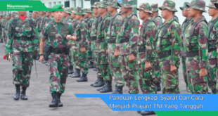 Panduan Lengkap Syarat Dan Cara Menjadi Prajurit TNI Yang Tangguh Dan Berprestasi