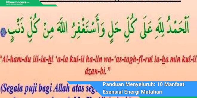 Panduan Menyeluruh 10 Manfaat Esensial Energi Matahari Untuk Pertumbuhan Dan Kesehatan Tumbuhan 1