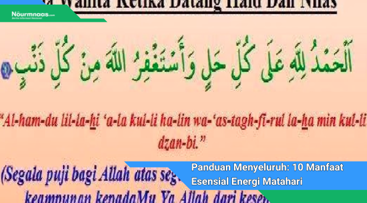 Panduan Menyeluruh 10 Manfaat Esensial Energi Matahari Untuk Pertumbuhan Dan Kesehatan Tumbuhan 1