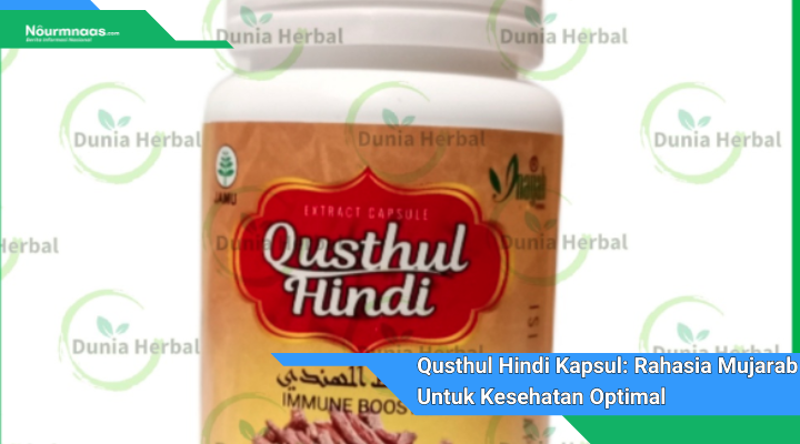 Qusthul Hindi Kapsul Rahasia Mujarab Untuk Kesehatan Optimal