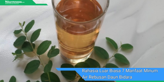 Rahasia Luar Biasa 7 Manfaat Minum Air Rebusan Daun Bidara Untuk Kesehatan