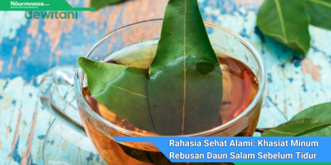 Rahasia Sehat Alami Khasiat Minum Rebusan Daun Salam Sebelum Tidur Yang Bikin Takjub