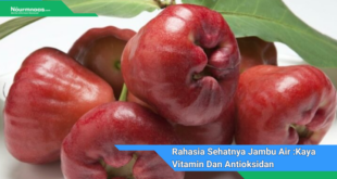 Rahasia Sehatnya Jambu Air Kaya Vitamin Dan Antioksidan Yang Memukau