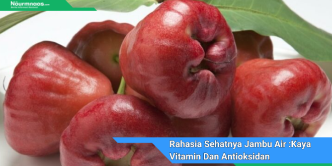 Rahasia Sehatnya Jambu Air Kaya Vitamin Dan Antioksidan Yang Memukau