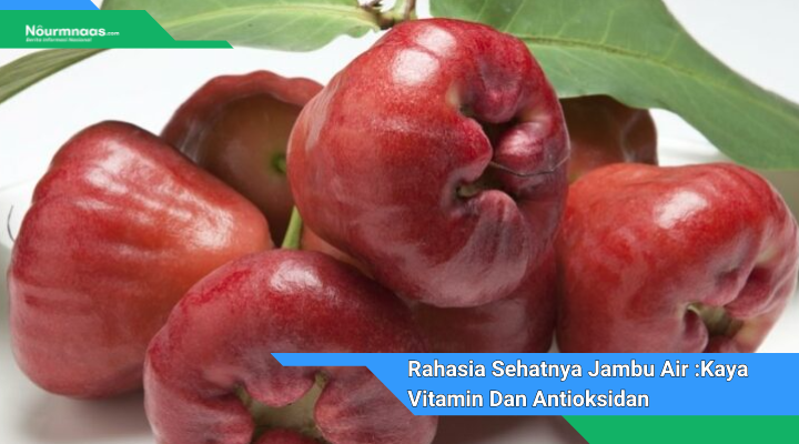 Rahasia Sehatnya Jambu Air Kaya Vitamin Dan Antioksidan Yang Memukau